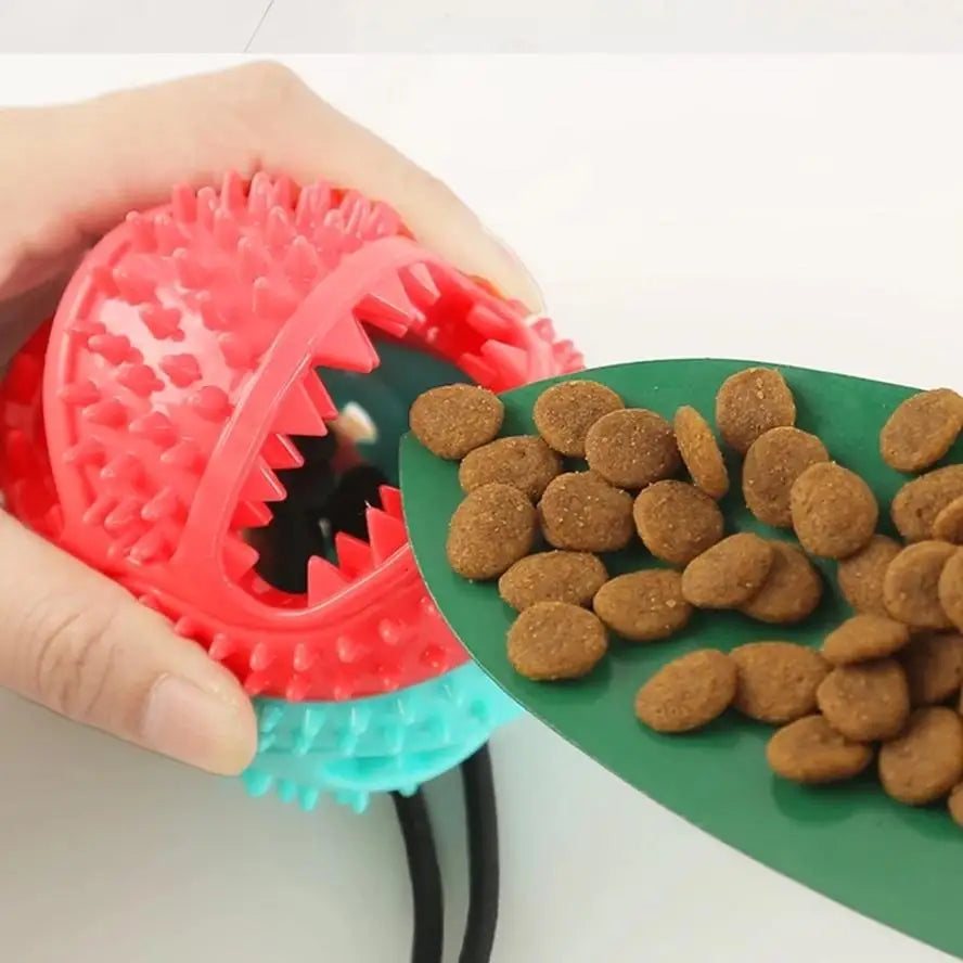 Durable Pet Molar Tug Rope Ball Toy