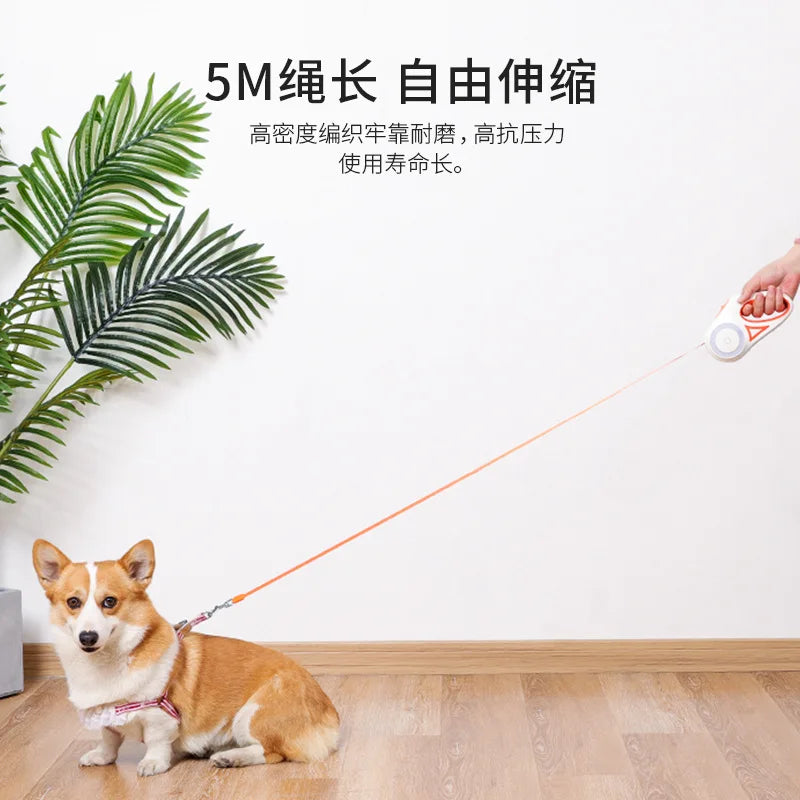LED Glowing Dog Nylon Leash with Flashlight