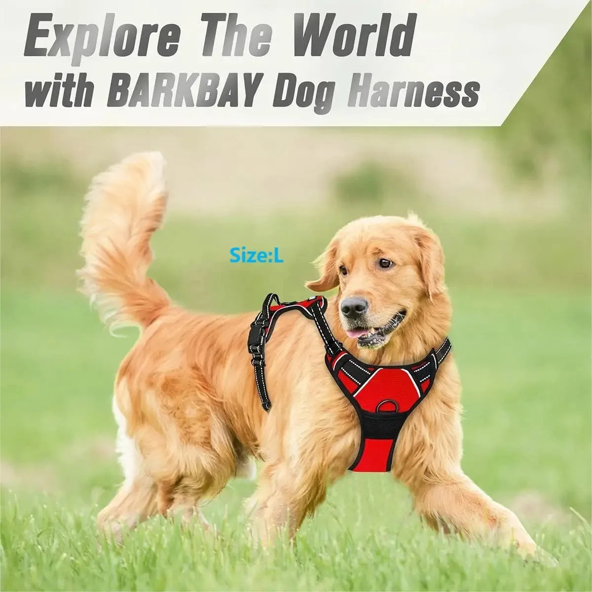 Pet Dog Big Vests Collars Harness Leash
