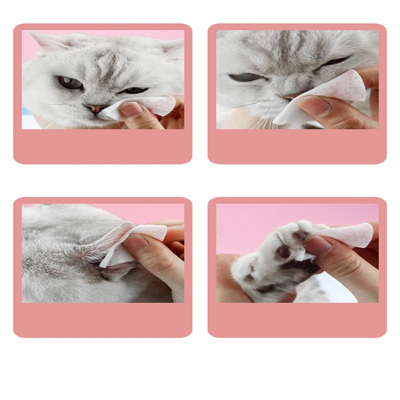 120 Pcs Non-Woven Pet Eye Cleaning Wipes