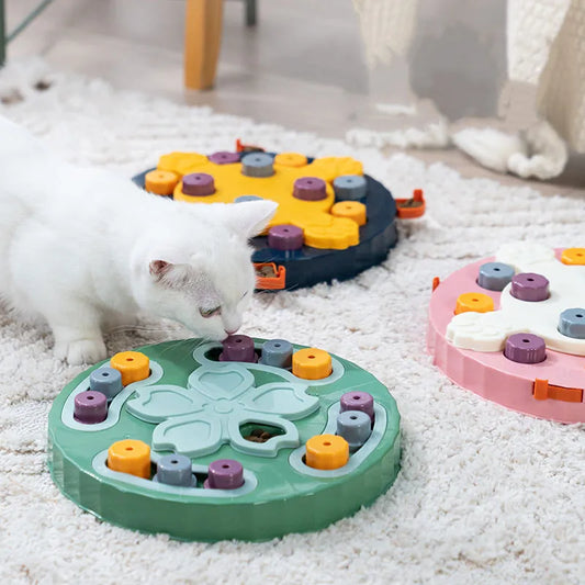 Interactive Educational Slow Feeding Toys
