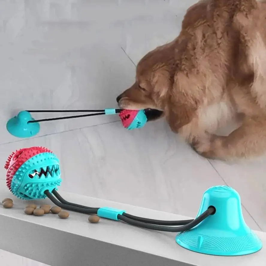 Durable Pet Molar Tug Rope Ball Toy