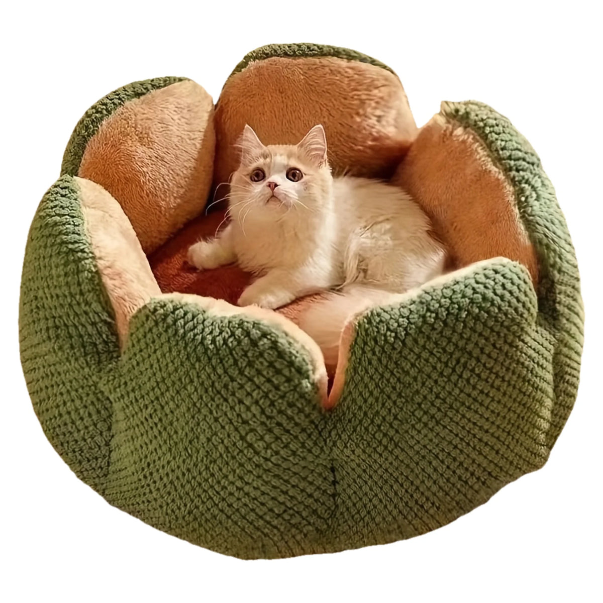 Pet Plush Petal Shaped Bed with Knitted Texture