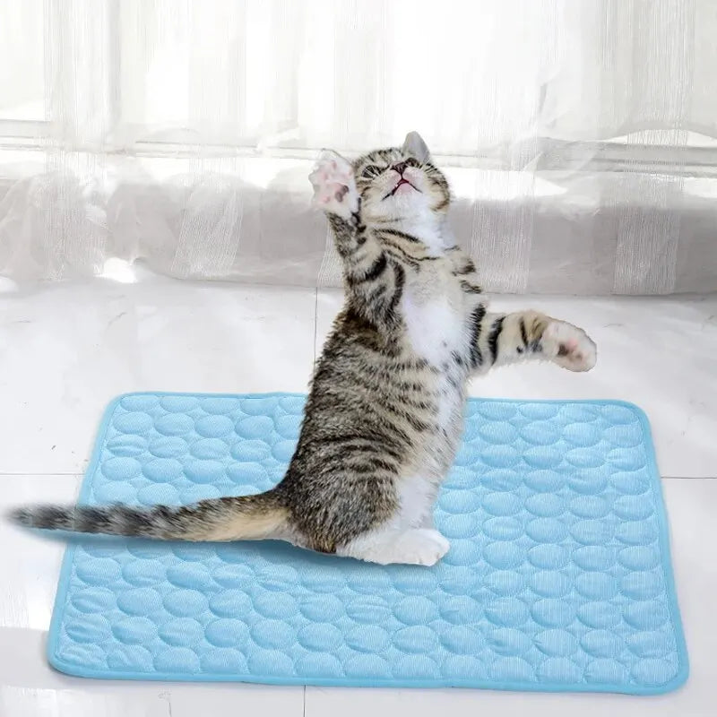 Summer Pet Cooling Mat